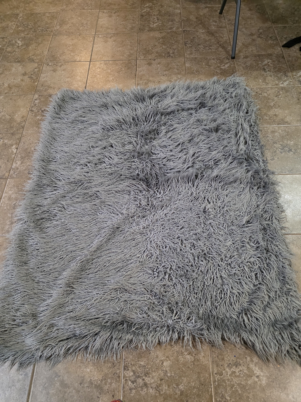 Plush Shaggy Area Rug in Light Gray